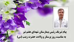 پیام تبریک رئیس بیمارستان شهدای هفتم تیر به مناسبت ولادت حضرت زینب (س) و روز پرستار 